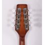 Custom Handmade A Style Mandolin Western Instruments Sapele Plywood