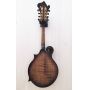 Custom 8 Strings F Mandolin with Ebony Fretboard Solid Spruce Solid Flamed Maple F Mandolin