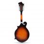 Custom 8 Strings F5 Mandolin with Ebony Fretboard Solid Spruce Top F Mandolin