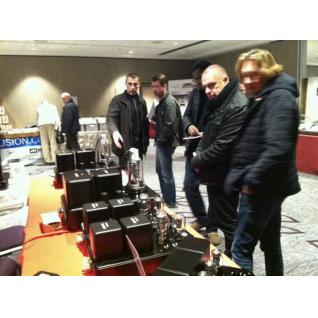 MONO BLOCK POWER AMPLIFIER HIEND TUBE FU80 AMP PAIR