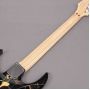 JEM77 Steve Vai Signature Electric Guitar Floral Pattern