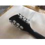Body Celluloid Back Side 12 Strings Ricken 325 Electric Guitar Mahogany Body Rosewood Fingerboard Accept Customized