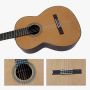 Grand Brand Aaaa Replica Hauser Handmade Professional Classical Guitar