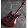 Custom Mahogany with Quilted Maple Top John Petrucci Signature Su-hr Musicman JP Electric Guitar Customize Kinds Shape Electric Acoustic Guitar