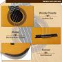 Custom Grand Master Level Lattic Bracing Classic Guitar from Master Luthier