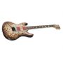 Grand E-II Burnt Signature Style Hand Painting Electric Guitar