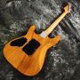 2023 New Style Flamed Maple Top Customized Electric Guitar in Blue Color