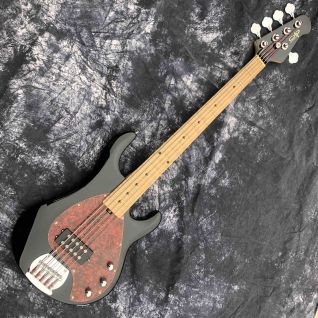 Custom 5 Strings Electric Bass Guitar