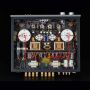 Custom 300b Push 845 Classic Design High-End Tube Amplifier HiFi Gz34 Lamp AMP with Phono Stage Function and Remote