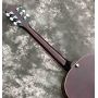 Custom Flamed Maple Top Cherry Burst Dobro Resonator Steel Electric Guitar