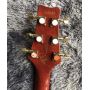 Custom PR Custom Electric Guitar Tiger Flamed Maple Top Shells Wrap The Edges