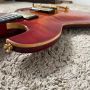 D-B-Z Electric Guitar Tiger Maple Top with Original Hardwares