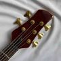 Custom Grand Neck Through Body Maple with Elm 5 Strings Bass Guitar Gold Hardware