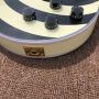 Custom Grand Golden Hardware EMG Pickups Zakk Model Electric Guitar 