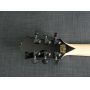 Custom Wylde Odin Grail Charcoal Burst Buzzsaw Electric Guitar in Kinds Colors