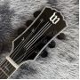 Custom G-Wylde Audio Burst Color Ebony Fingerboard Electric Guitar with EMG Pickup