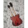 Custom Flamed Tiger Pattern Veneer 12+6 Strings Double Neck Electric Guitar with Black Hardware