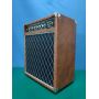 Custom ODS 20 Combo Grand Overdrive Amp with V30 Speaker