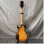Custom Irregular Body Wylde AUDIO STYLE Viking Totem Design Electric Guitar