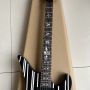 Custom grand guitars rosewood fingerboard double vibrato electric guitar with kinds colors