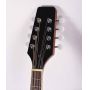 Custom Handmade A Style Mandolin Western Instruments Sapele Plywood
