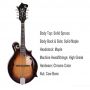 Custom Handmade Solid Spruce Top F Style Mandolin, Solid Maple Back Side, Maple Headstock, Mandolin OEM