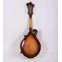 Custom Handmade Solid Spruce Top F Style Mandolin, Solid Maple Back Side, Maple Headstock, Mandolin OEM