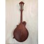 Custom 8 Strings F Style Mandolin with Ebony Fretboard Solid Spruce Solid OEM Accepted