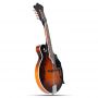 Custom 8 Strings F5 Mandolin with Ebony Fretboard Solid Spruce Top F Mandolin