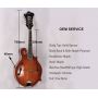 Custom Grand Handmade F Style Mandolin Western Instruments Factory Direct with Kinds Colors, Accept OEM