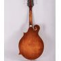 Custom Grand Handmade F Style Mandolin Western Instruments Factory Direct with Kinds Colors, Accept OEM