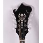 Custom Grand Handmade F Style Mandolin Western Instruments Factory Direct with Kinds Colors, Accept OEM