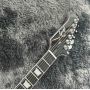 Custom Firebird Style Electric Guitar with Metallic Finishing, Jazz Vibrato Bridge Pull Plate, 3 Pickups, Accept Logo OEM
