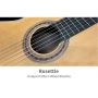 Master level Replica Friederich All Solid Canadian Cedar TopFrench Polish Nylon String Classical Guitar