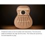 Master level Replica Friederich All Solid Canadian Cedar TopFrench Polish Nylon String Classical Guitar