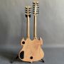 Custom Flamed Tiger Pattern Veneer Wydle Audio 12+6 Strings Double Neck Electric Guitar with Black Hardware