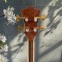 Custom Grand Mark King Deluxe Style Burst Neck Through Body 4 Strings Electric Bass ALEMBIC TYPE