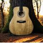 All-Solid Vintage Gold Phoebe Dreadnought Acoustic Guitar