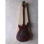 Best-selling NEW! Custom PR Style Electric Guitar with Light Blue Large Floral Veneer, Mahogany Body